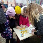 IMG_20181109_150213