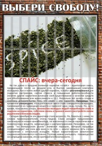 Спайсы 2