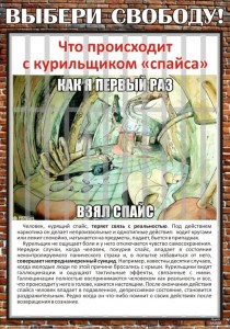 Спайсы 3