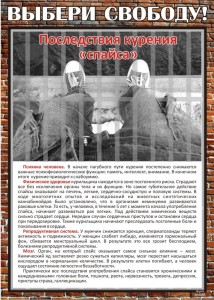 Спайсы 4