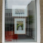 DSCN5693