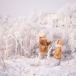 DSC_5019 копия