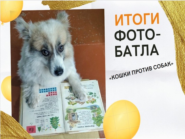 ИТОГИ ГОЛОСОВАНИЯ