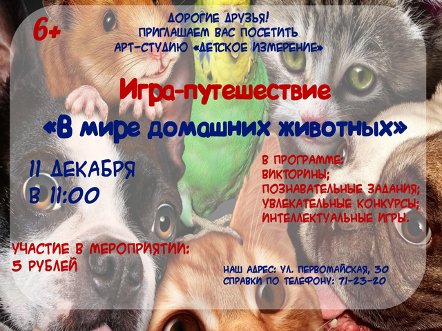 Игра-путешествие «В мире домашних животных»