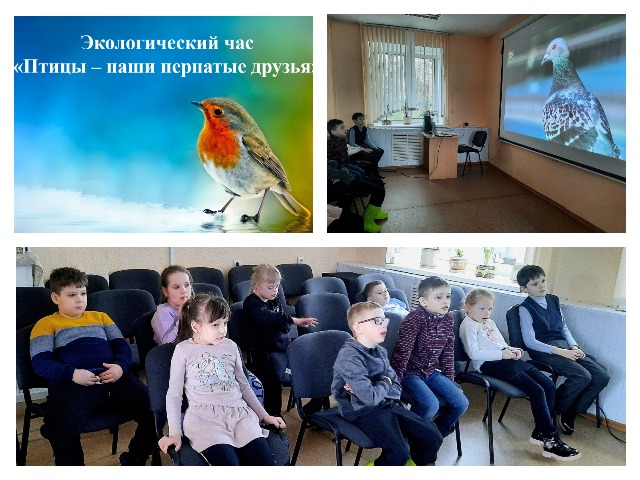 ЭКОЛОГИЧЕСКИЙ ЧАС «Птицы – наши пернатые друзья»