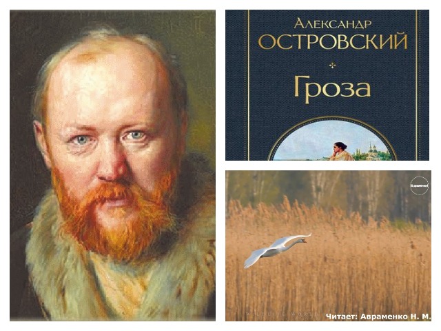 Аудиовизуальное произведение «Н. А. Островский. Отчего люди не летают?..».